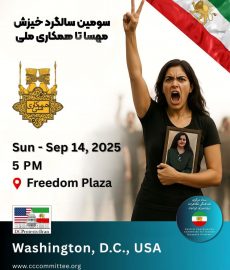 photo_2025-08-23_22-45-44